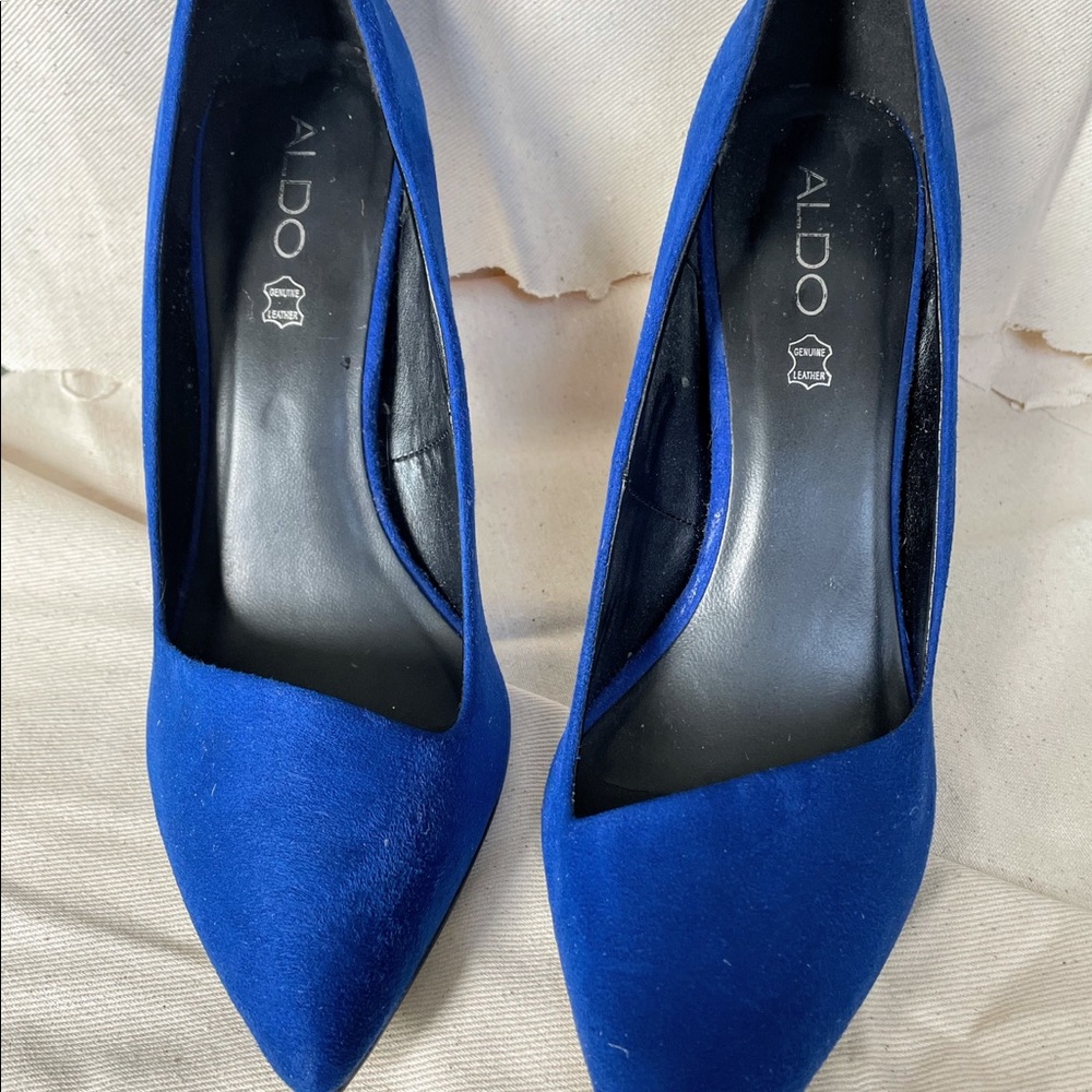Aldo Blue Suede Shoes